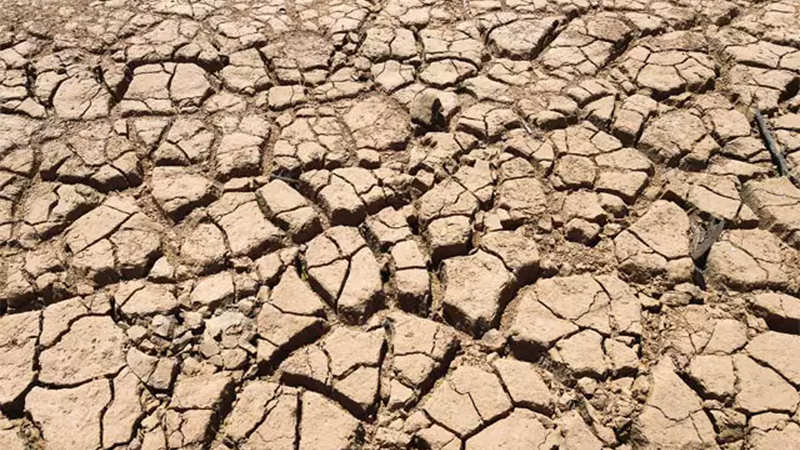 How to Prepare for a Drought